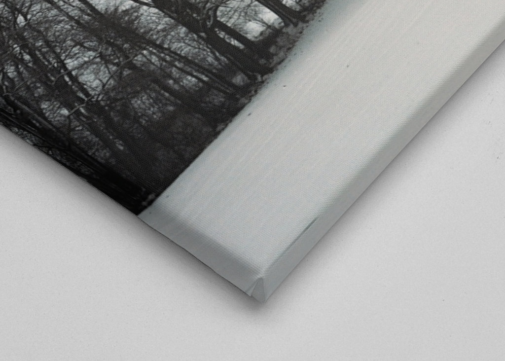 Zimowa etykieta Stiller