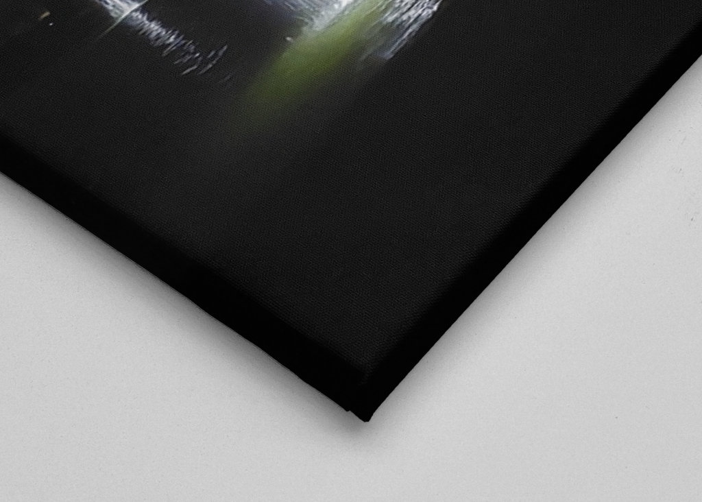 Ludwigsburg Residential Palace