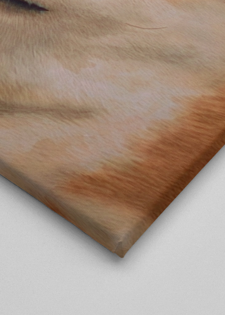 Deal With It - Doge Meme