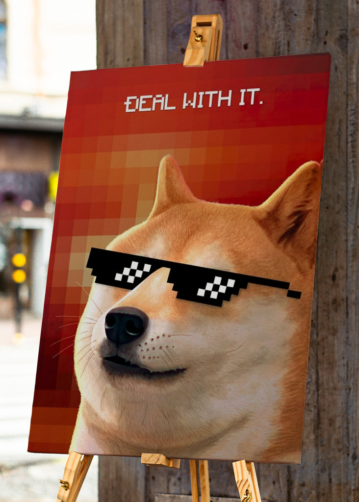 Deal With It - Doge Meme