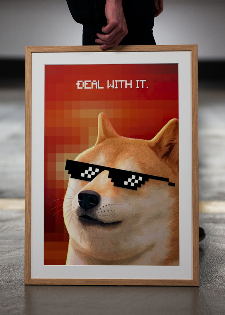 Deal With It - Doge Meme