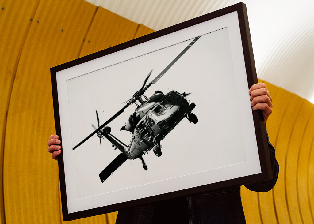 Black and white Black Hawk