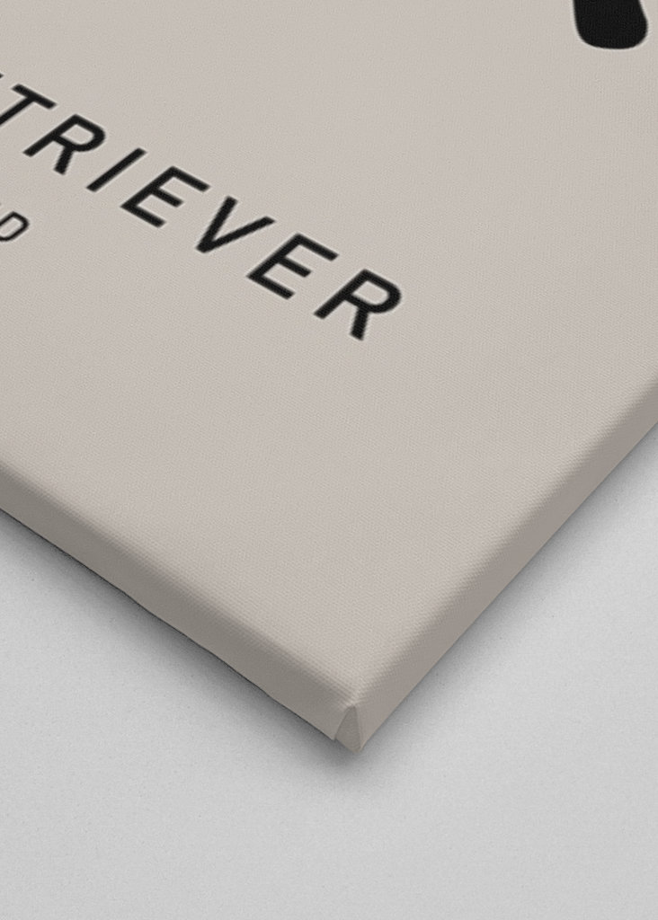 Můj nejlepší přítel