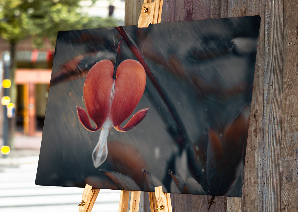 løjtnantshjerte i naturen