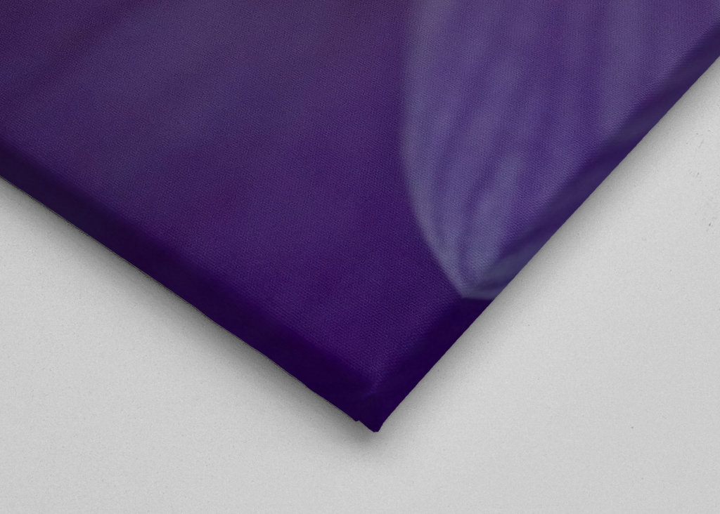 Podrobnosti o krokusu