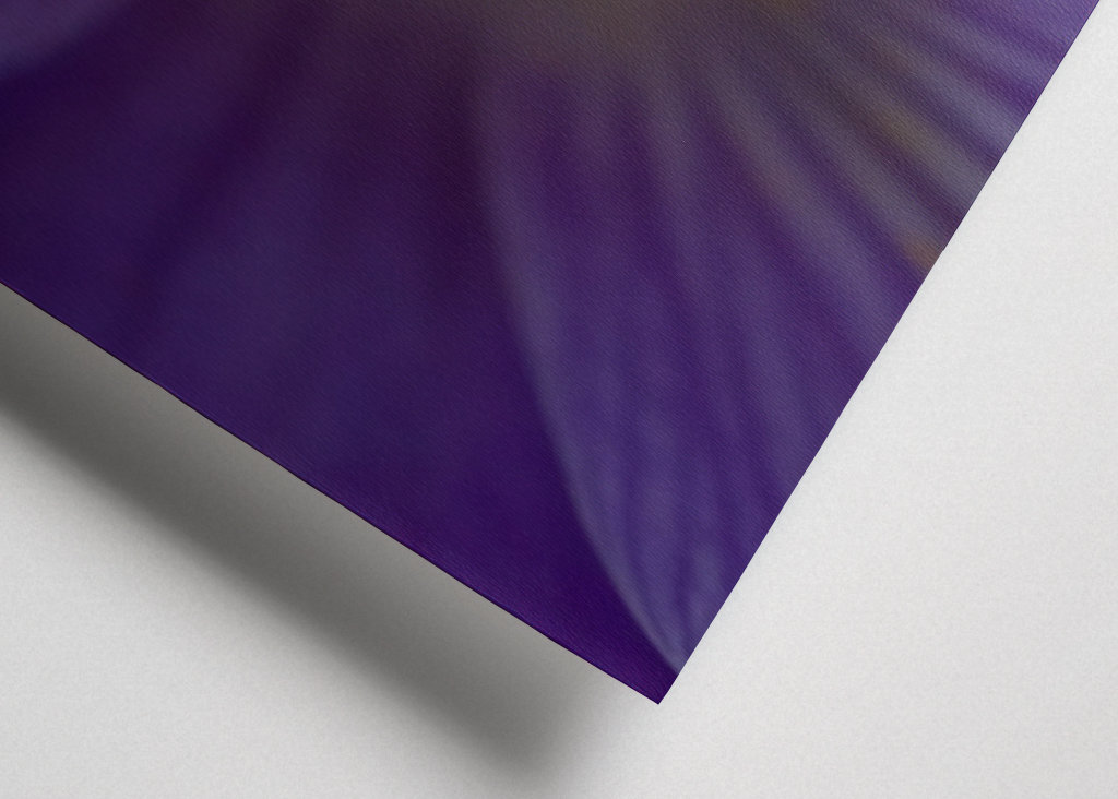 Podrobnosti o krokusu