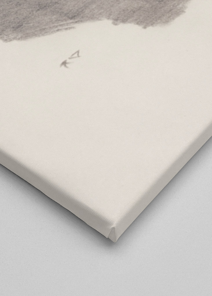 Darth Vader - Drawing