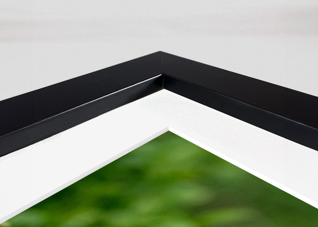 Cucciolo di volpe rossa