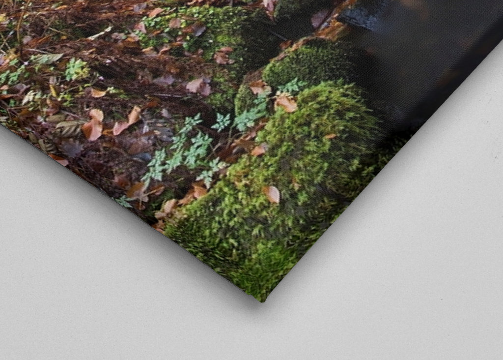 Söderåsens nationalpark