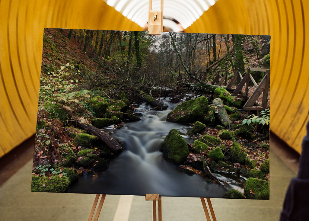 Söderåsens nationalpark