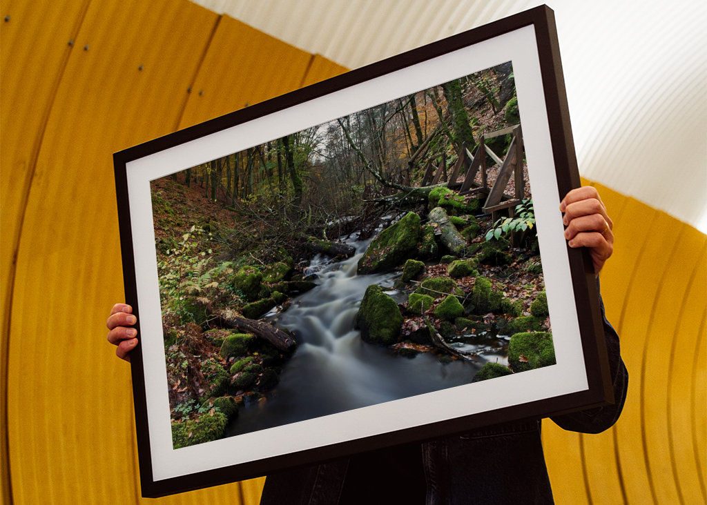 Söderåsens nationalpark