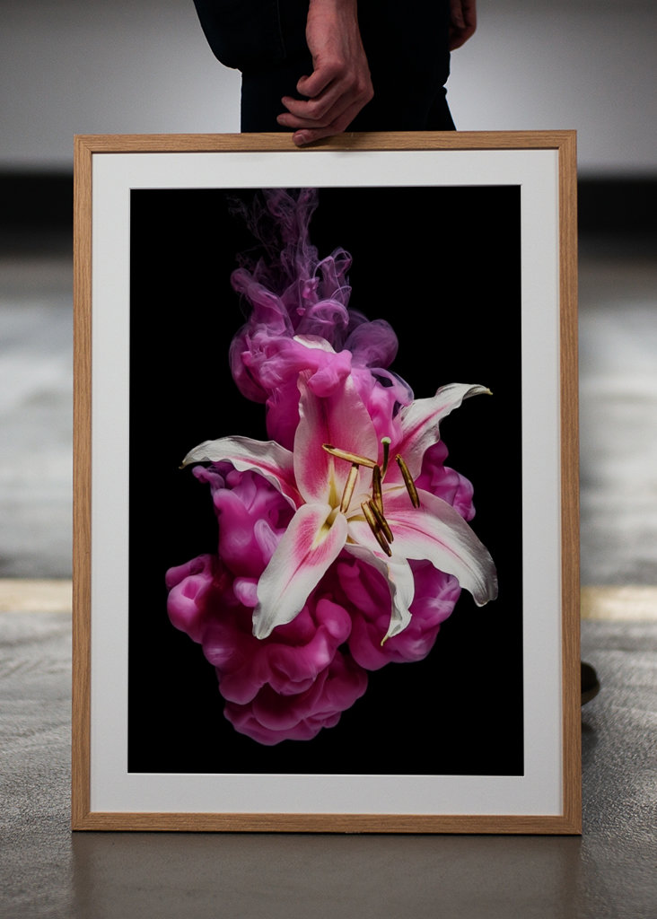 Blume unter Wasser – Pink