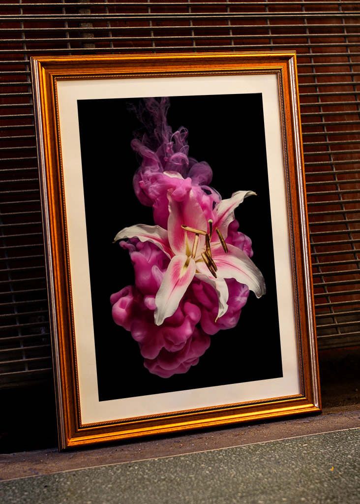 Blume unter Wasser – Pink