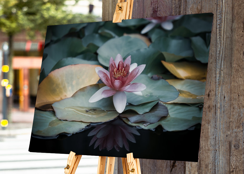 Refleksion af en vandlilje