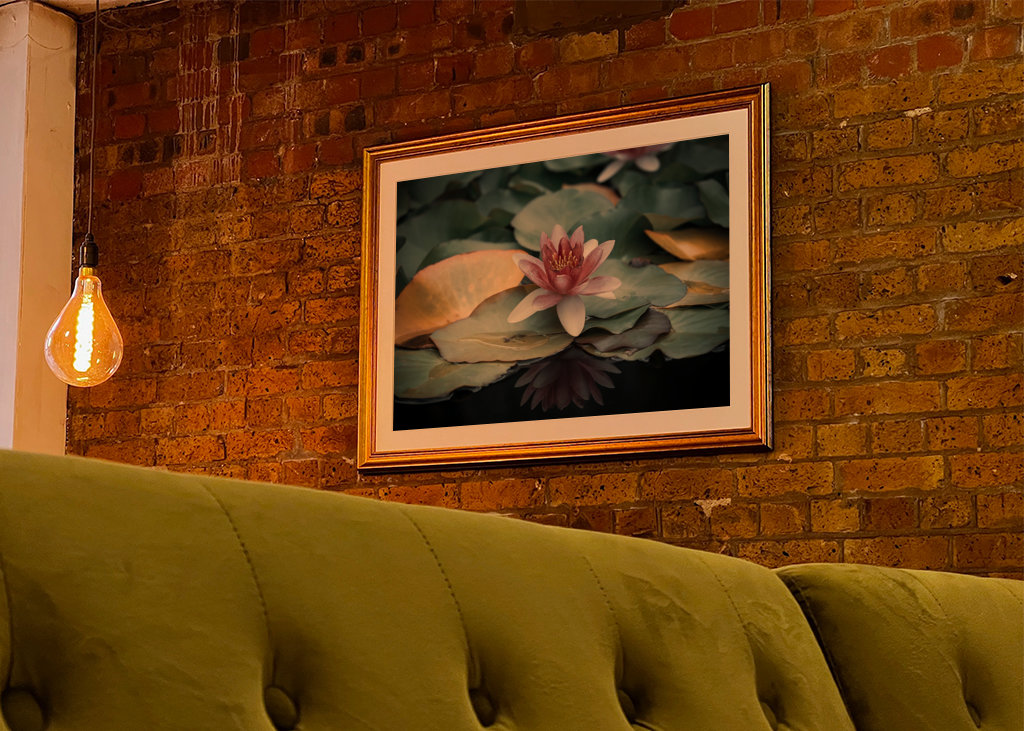 Refleksion af en vandlilje