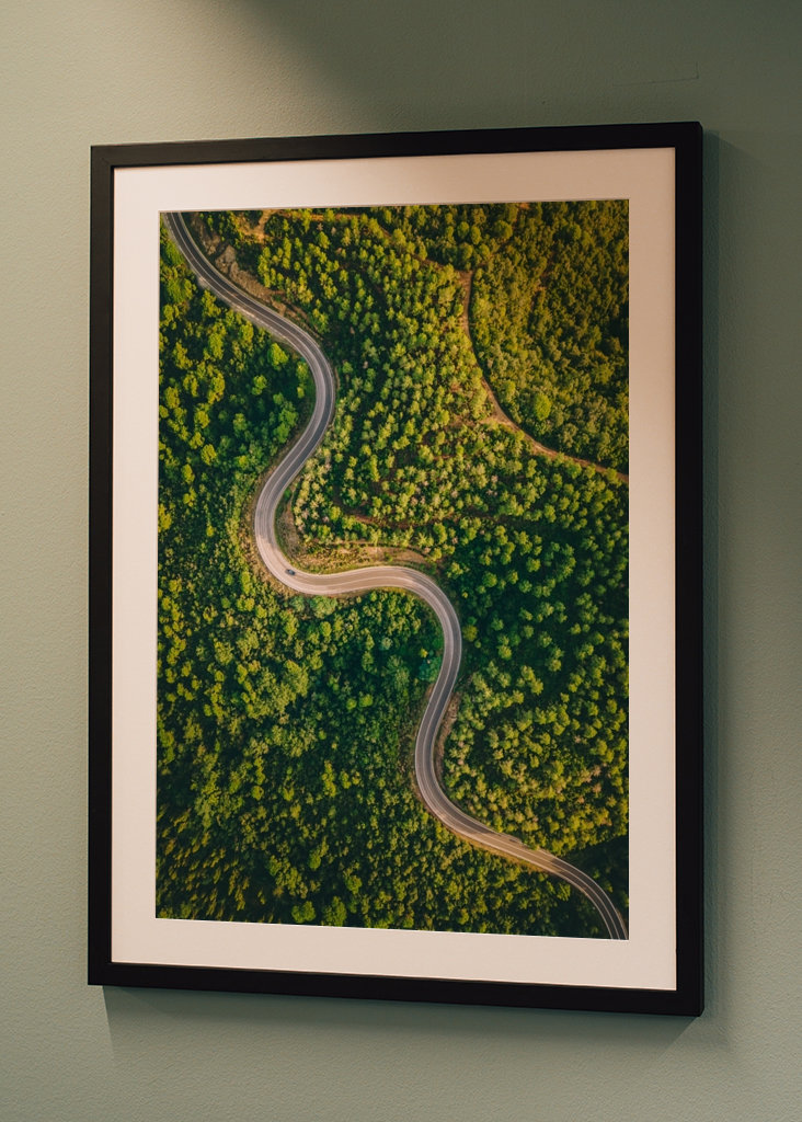 Snoede vej gennem træerne