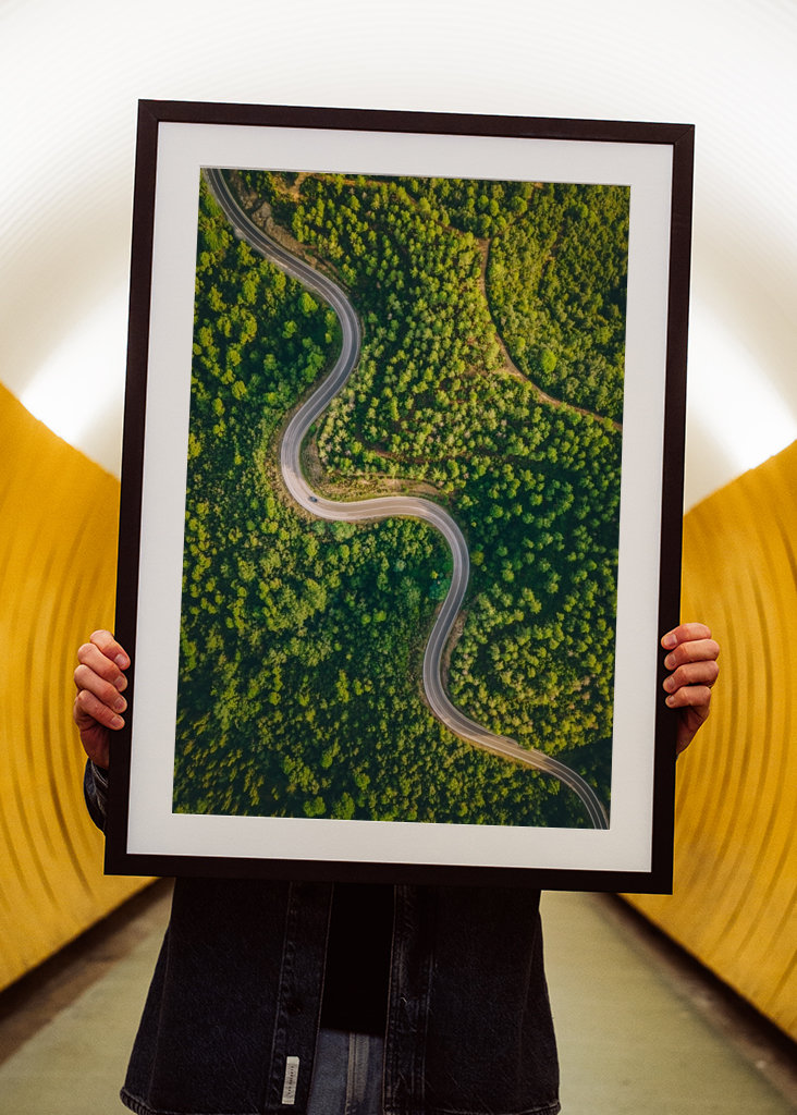 Snoede vej gennem træerne