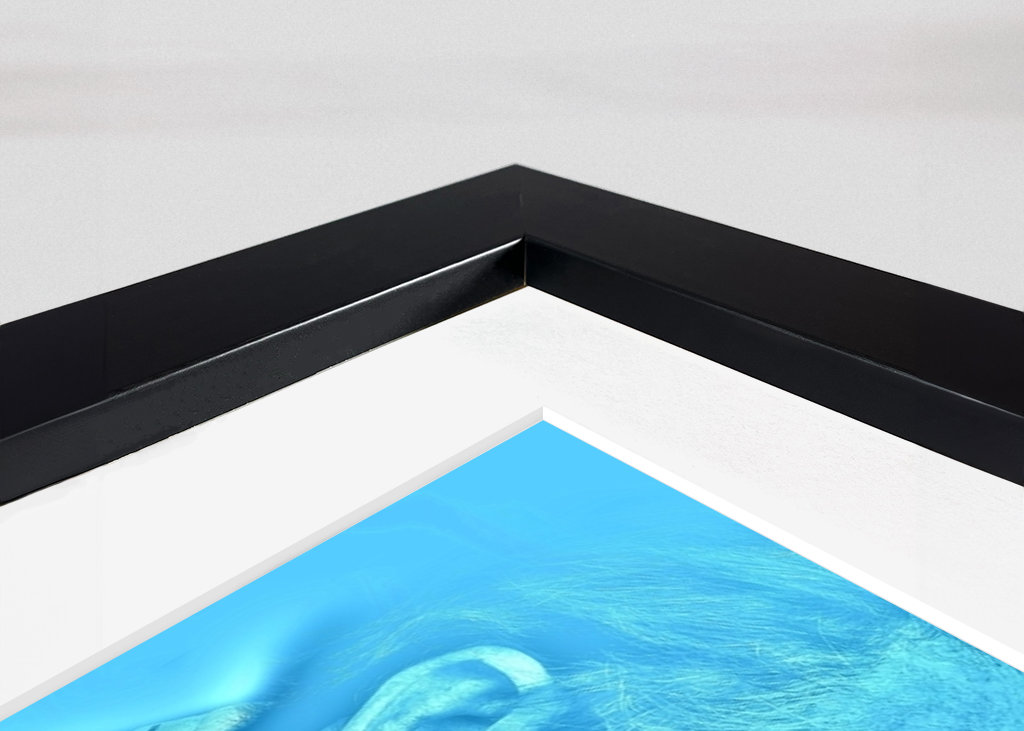 Motorsportlegende - Jacky Ickx