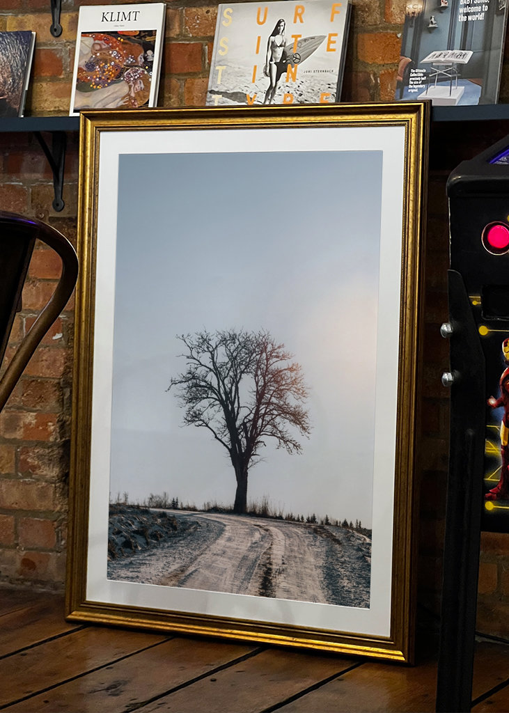 Arbre d’hiver solitaire