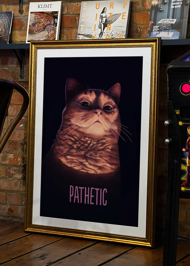 Pathetic Cat Meme