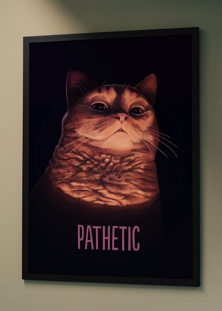 Pathetic Cat Meme