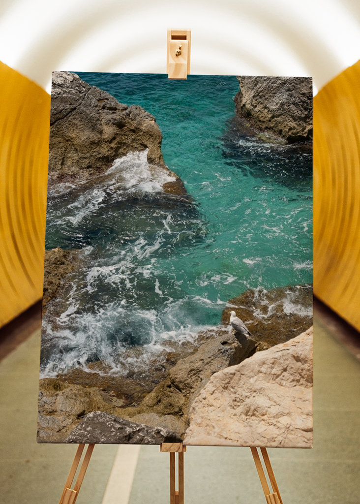 Racek a tyrkysová mořská voda