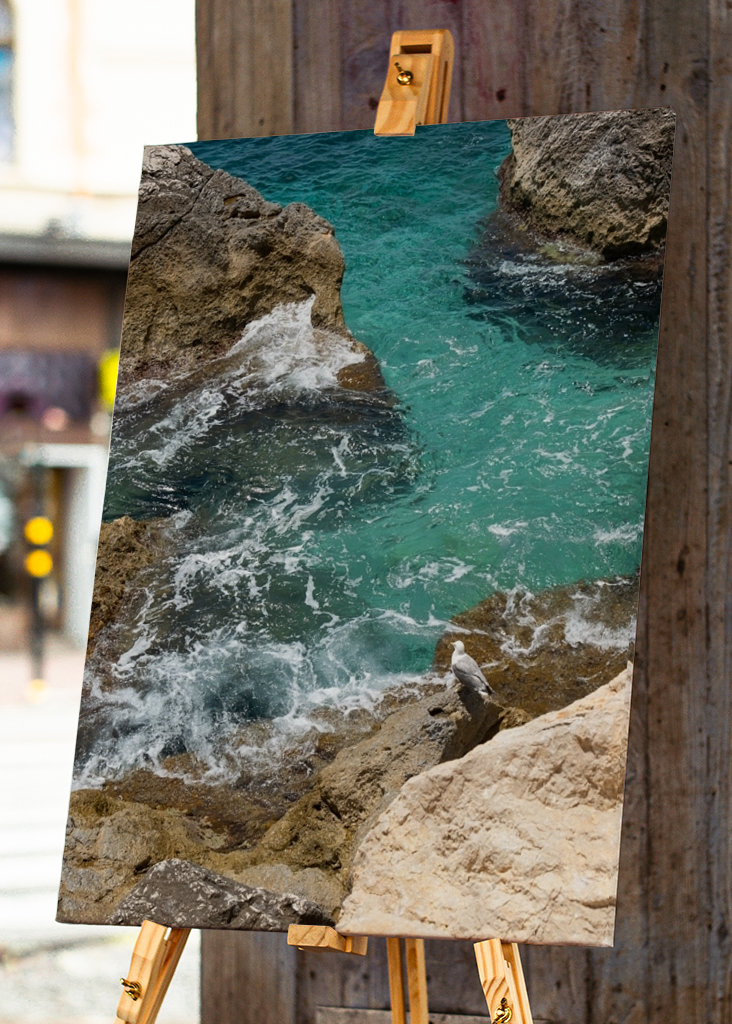 Racek a tyrkysová mořská voda