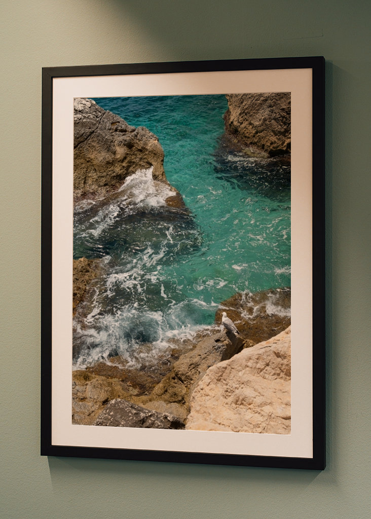 Racek a tyrkysová mořská voda