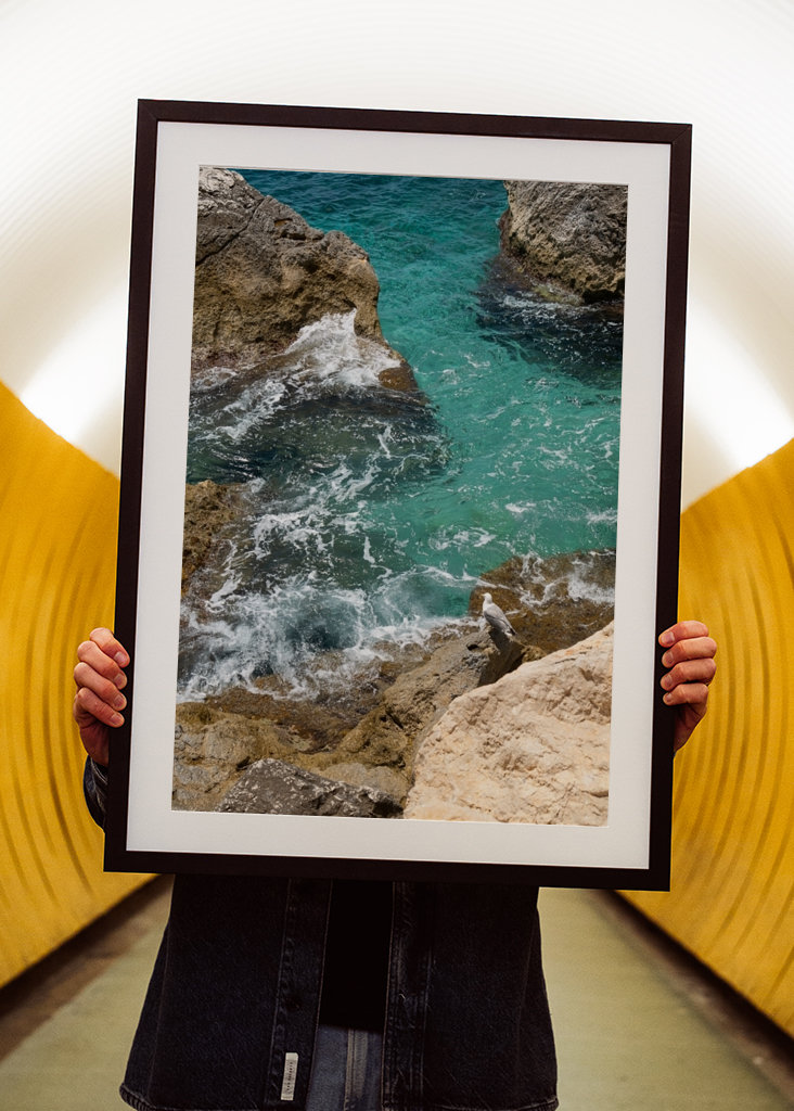 Racek a tyrkysová mořská voda