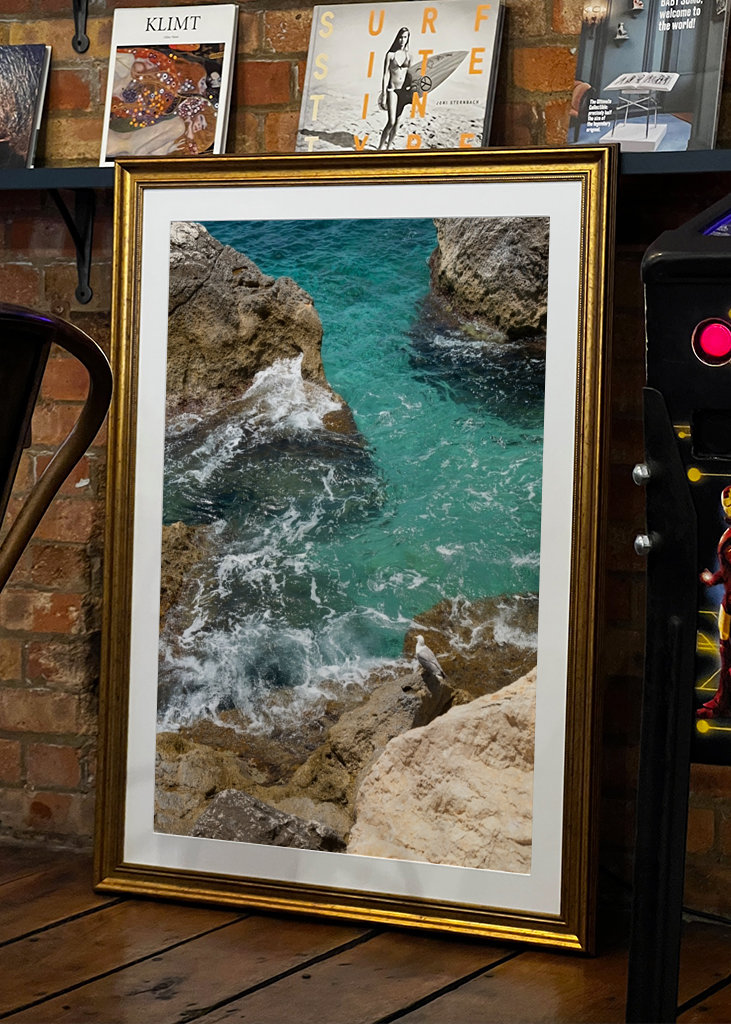 Racek a tyrkysová mořská voda