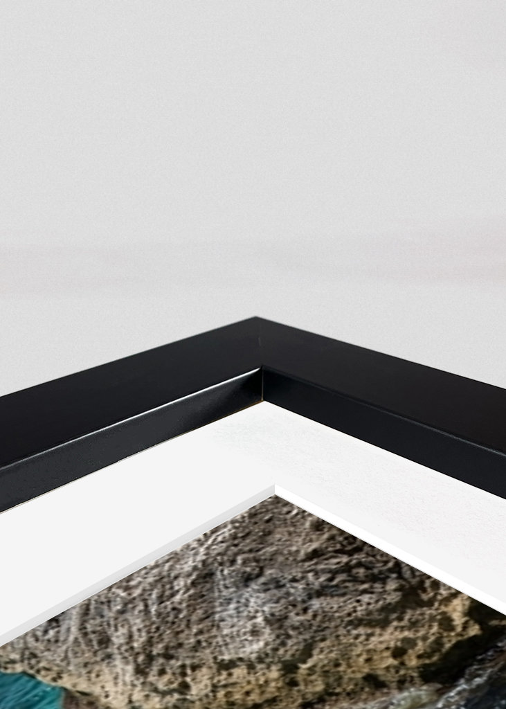 Racek a tyrkysová mořská voda