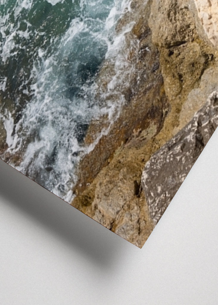 Racek a tyrkysová mořská voda