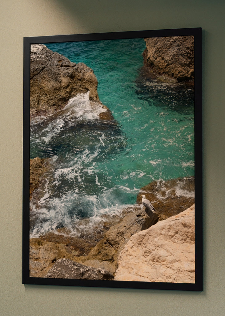 Racek a tyrkysová mořská voda