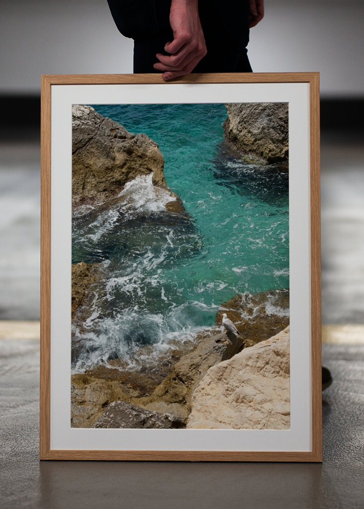 Racek a tyrkysová mořská voda