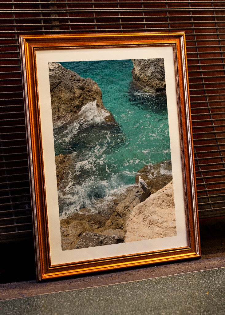 Racek a tyrkysová mořská voda