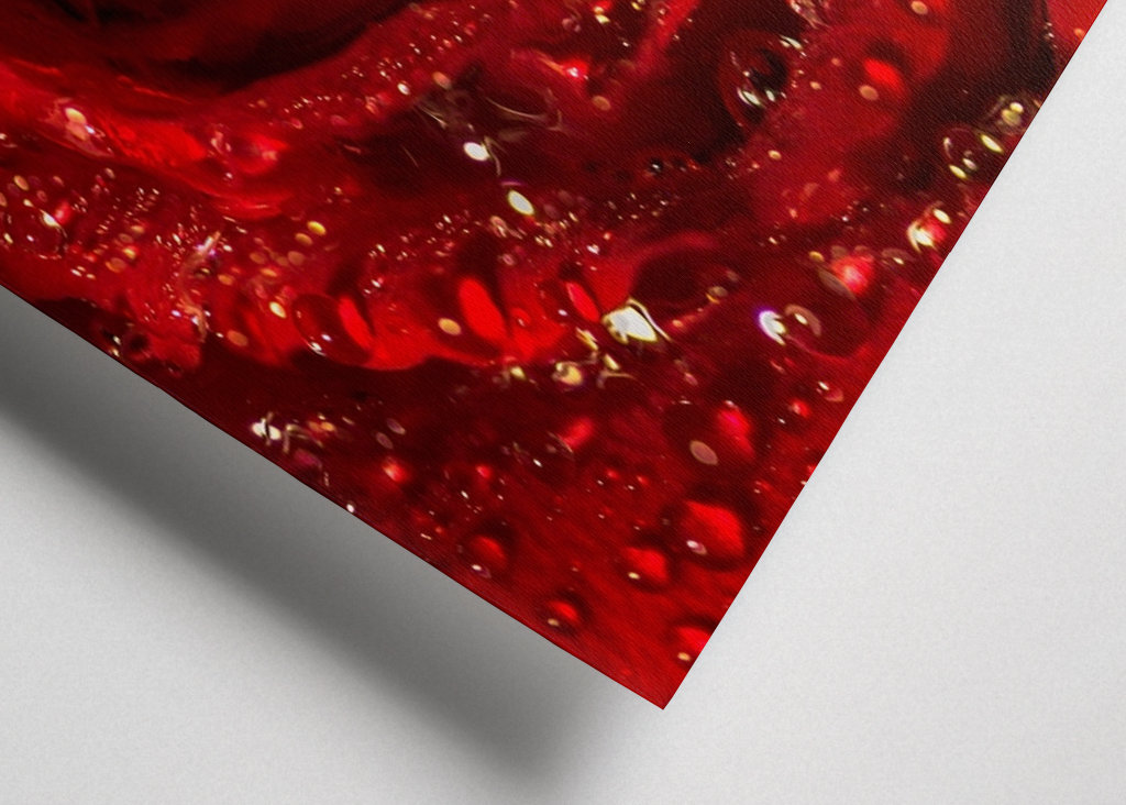 červená růže zblízka