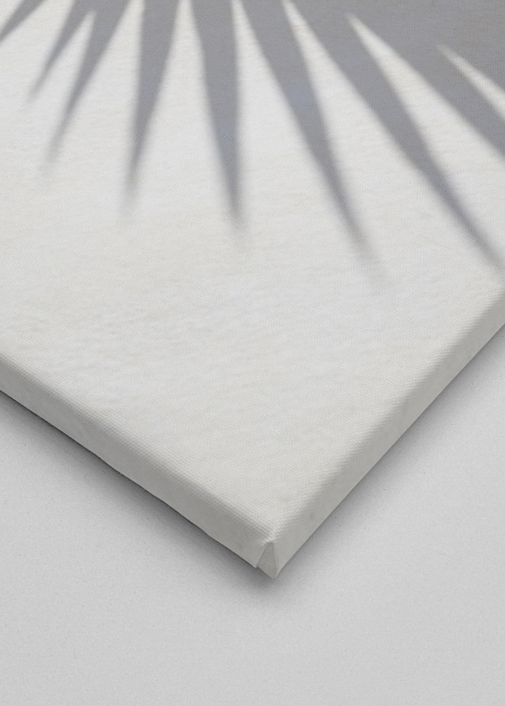 Green palm leaf and blue sky