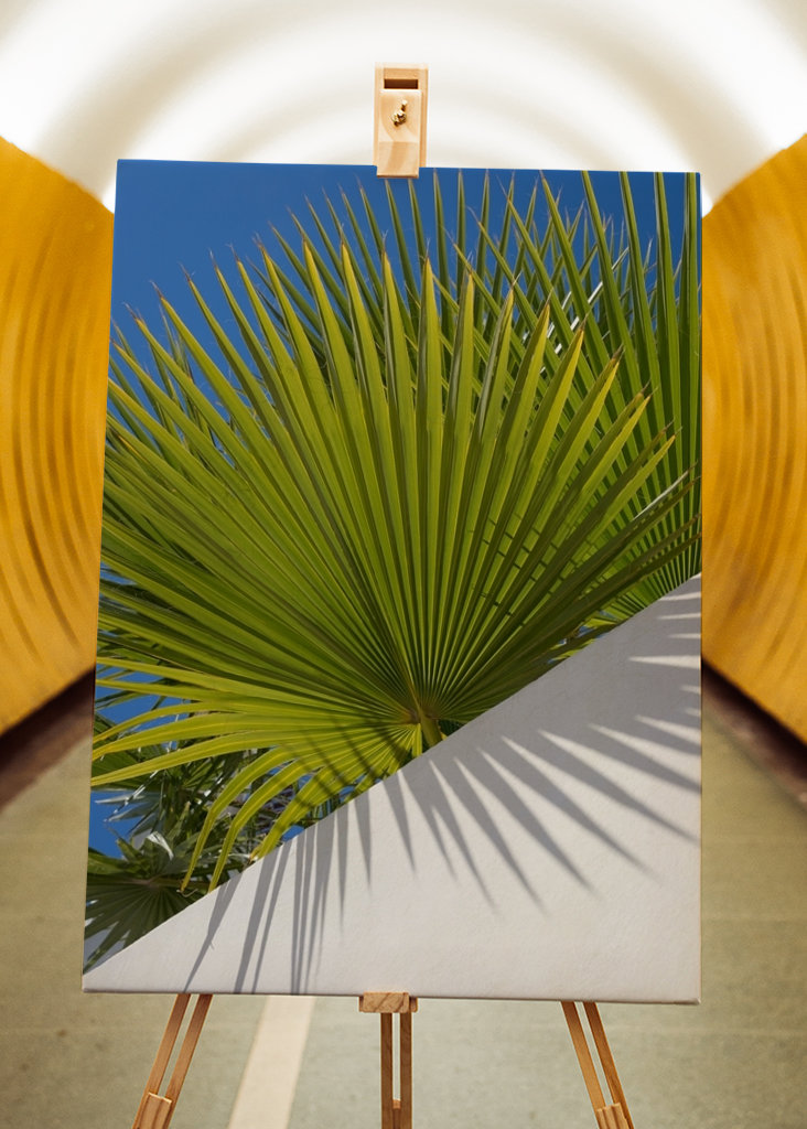 Green palm leaf and blue sky
