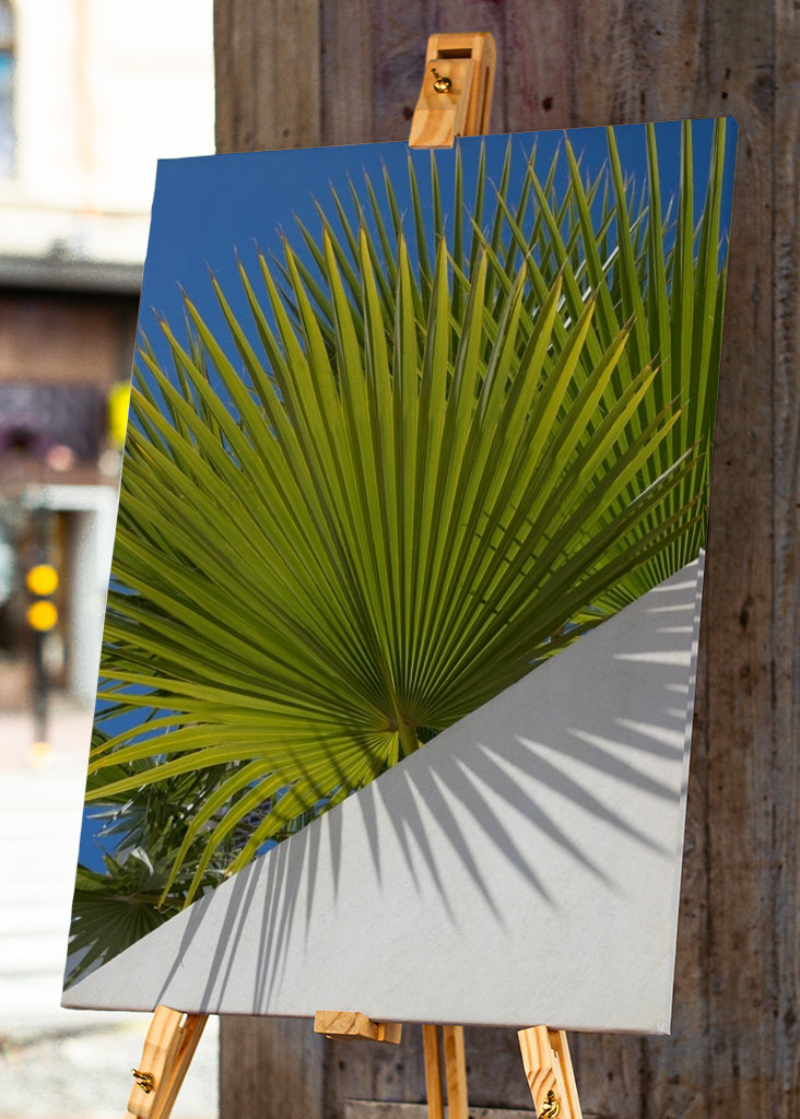 Green palm leaf and blue sky