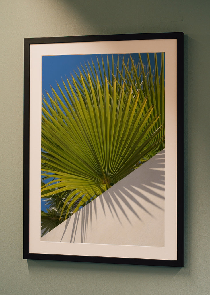 Green palm leaf and blue sky