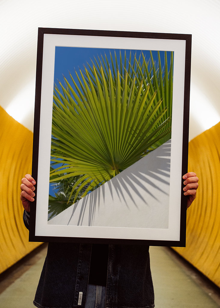 Green palm leaf and blue sky