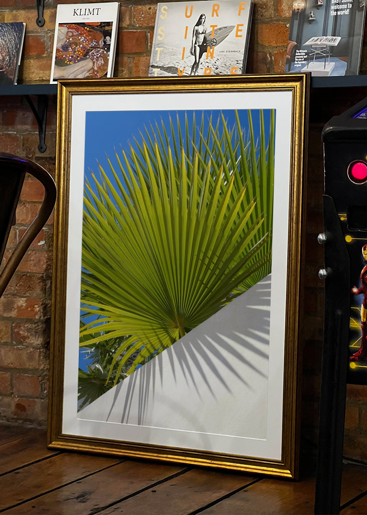 Green palm leaf and blue sky