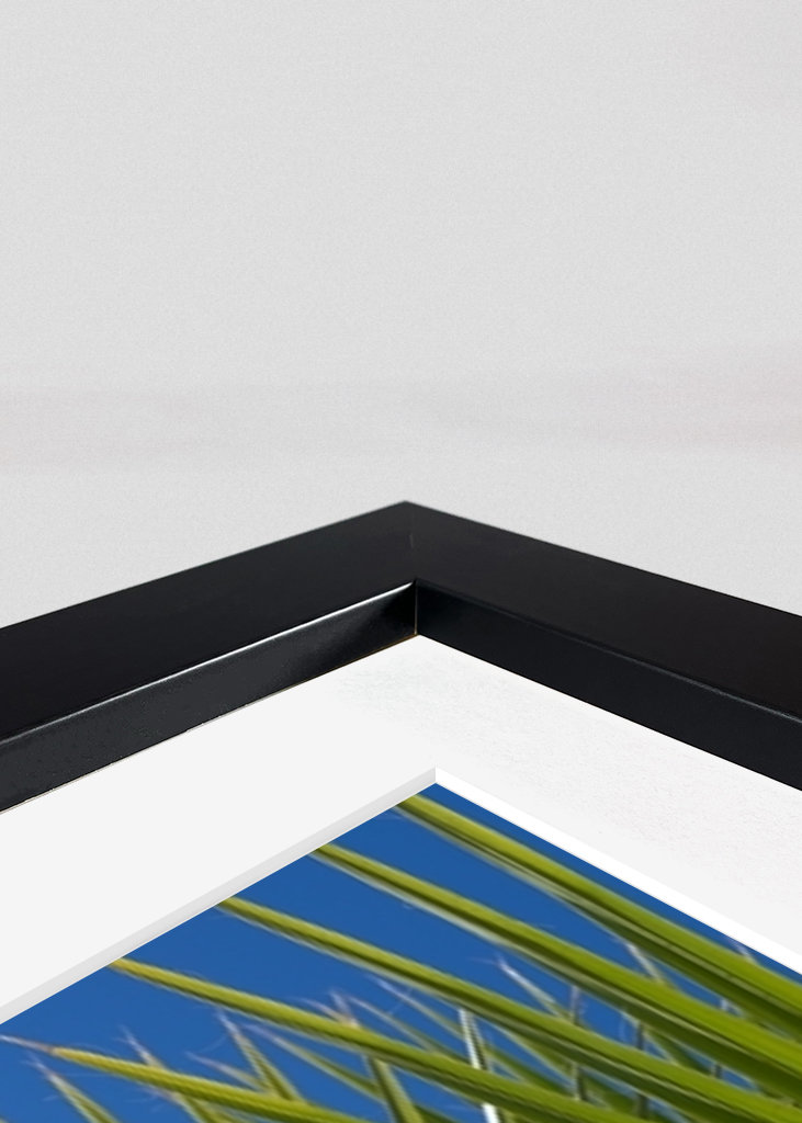 Green palm leaf and blue sky