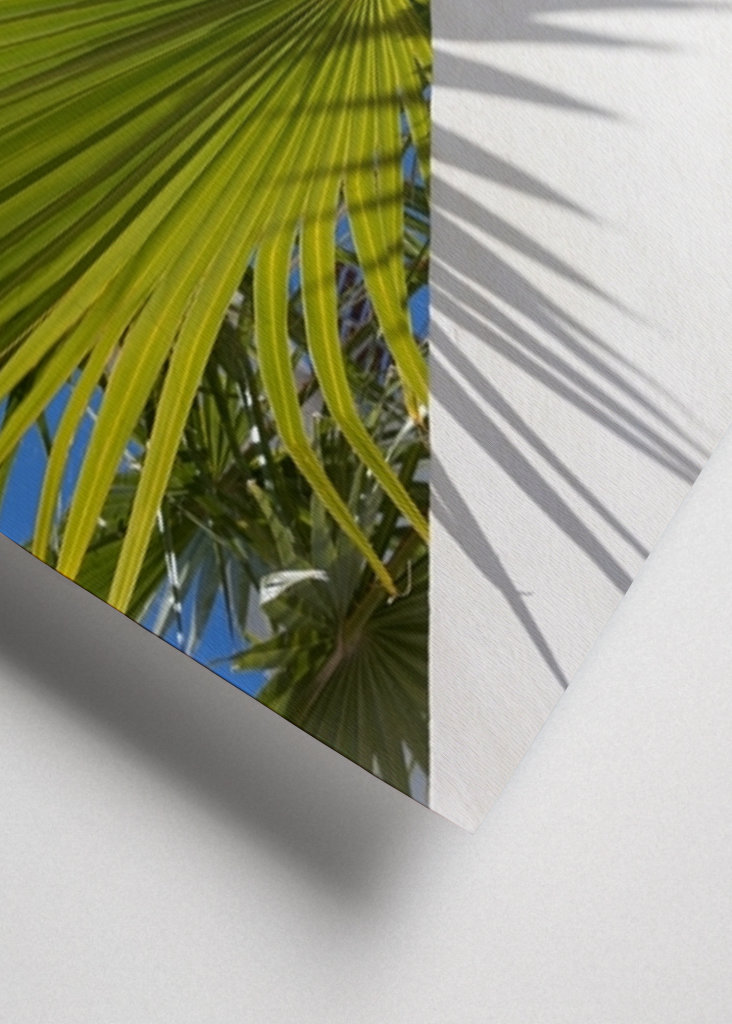 Green palm leaf and blue sky