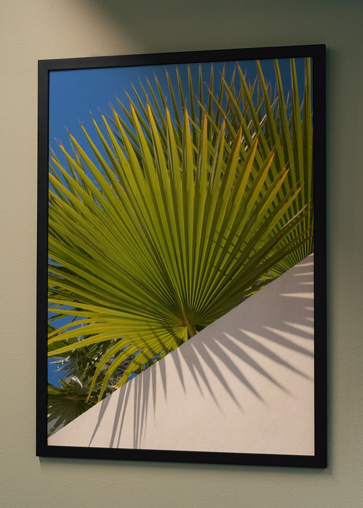 Green palm leaf and blue sky