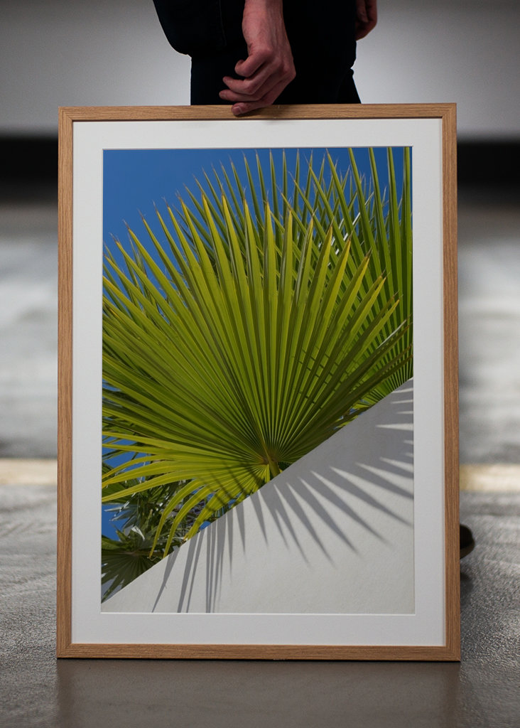 Green palm leaf and blue sky