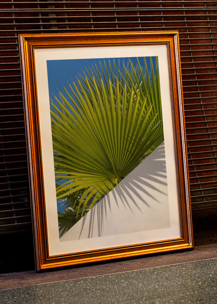 Green palm leaf and blue sky