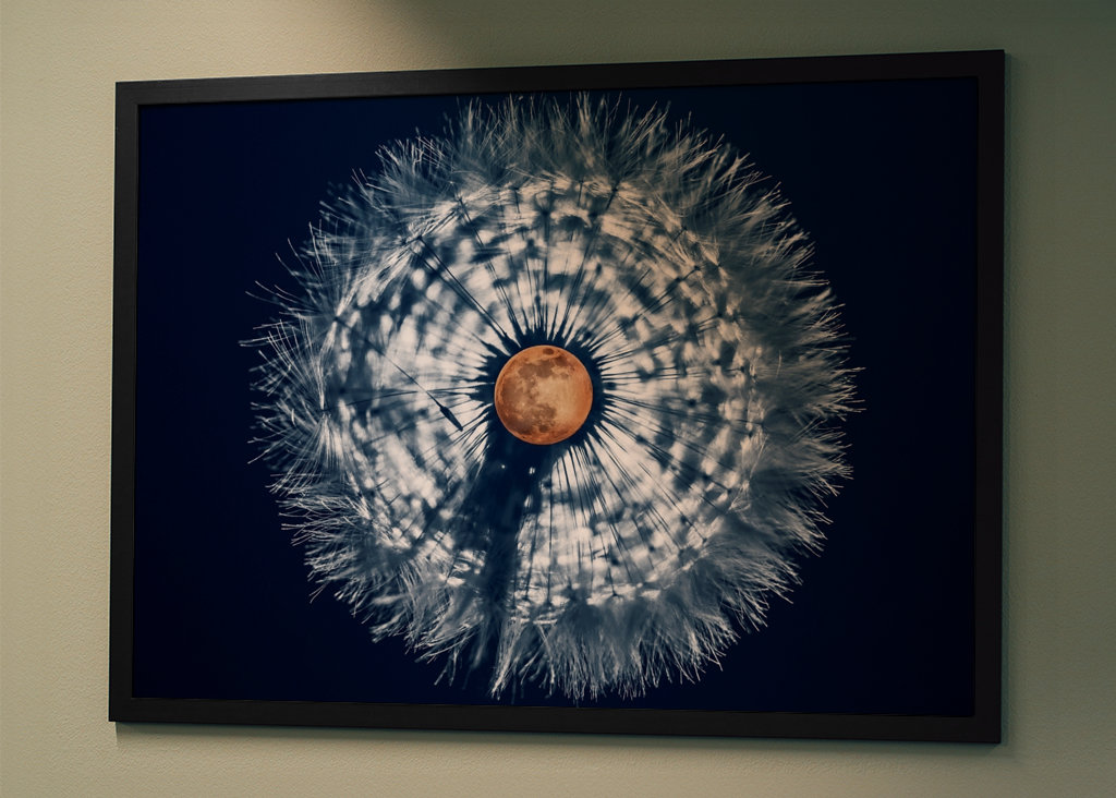 Pusteblume - mit Mond