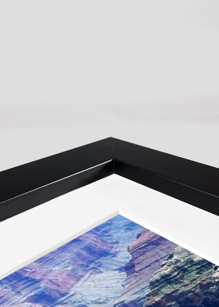 Grand Canyon Bird's eye view 4