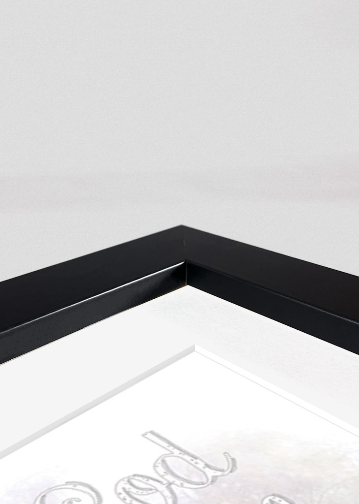 Le plus beau sapin de Noël